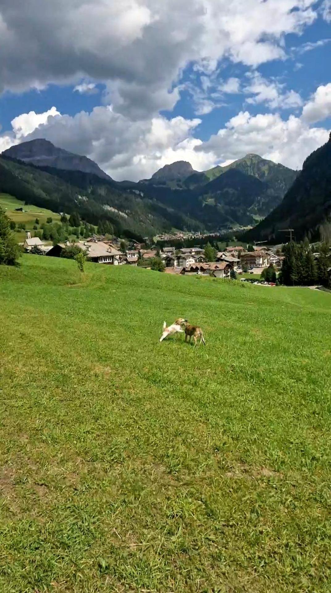 Cesa Cherpei - Dog Friendly カンピテッロ・ディ・ファッサ エクステリア 写真